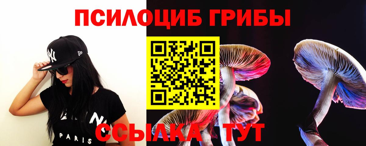 Анжеро-Судженск  хочу наркоту  Вход с VPN  Псилоцибиновые грибы мухоморы 